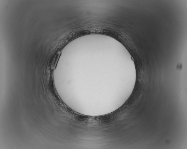 X0000113010697200909171430