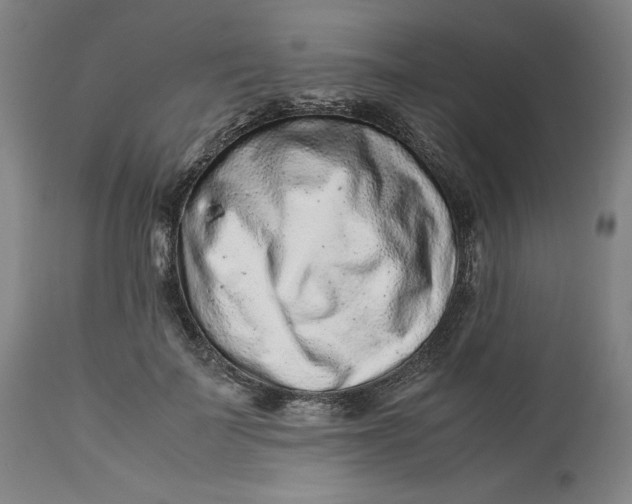 X0000113010699200909171430