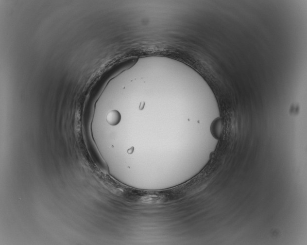 X0000113010700200909171430