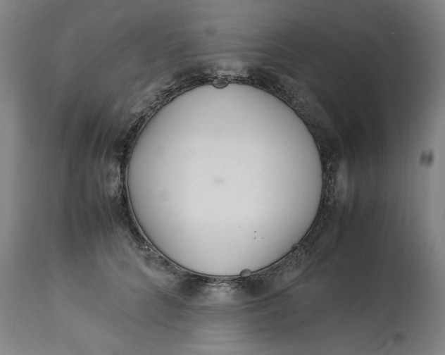 X0000113010704200909171430