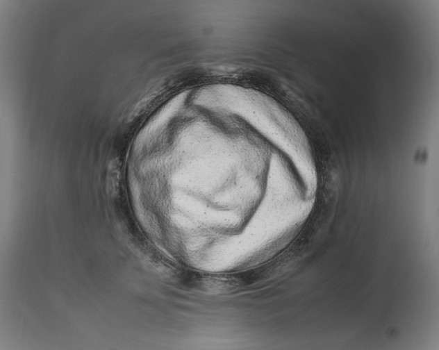 X0000113010707200909171429