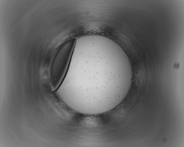 X0000113010708200909171429