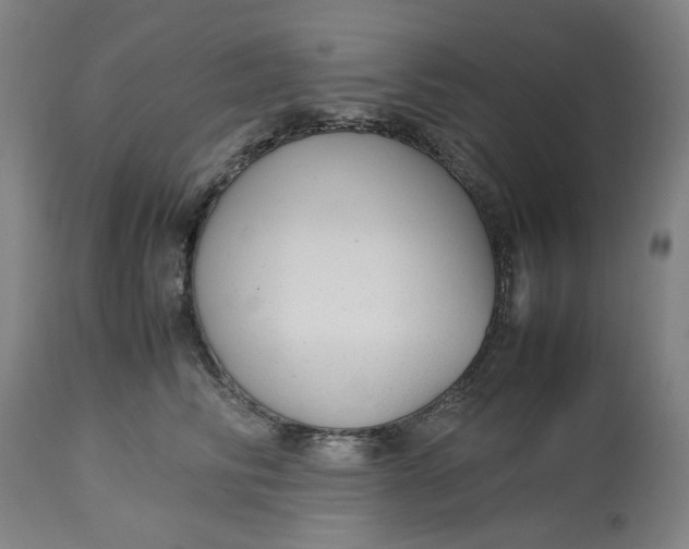 X0000113010710200909171429