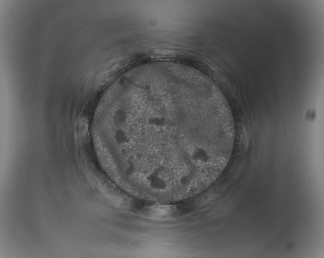 X0000113010711200909171429