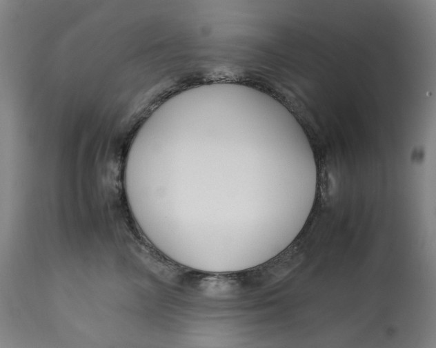 X0000113010714200909171429