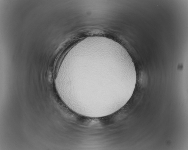 X0000113010715200909171429