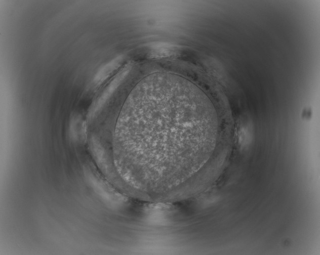 X0000113010716200909171429