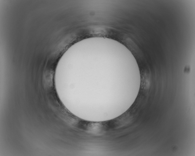 X0000113010717200909171429