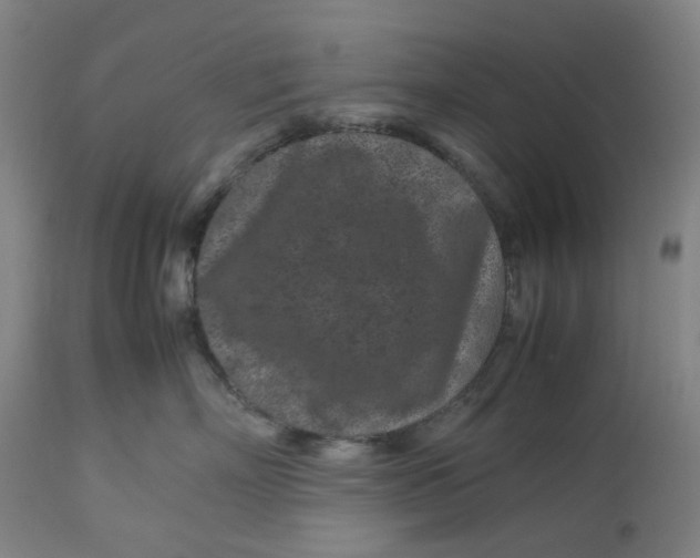 X0000113010718200909171429