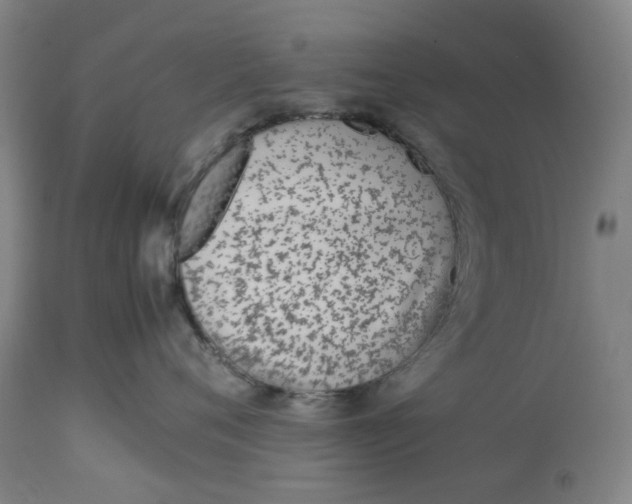 X0000113010720200909171429