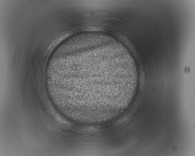 X0000113010721200909171429