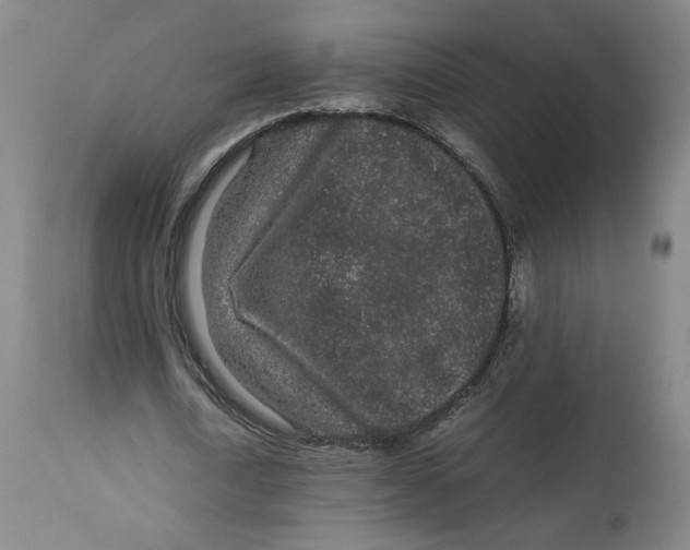 X0000113010722200909171429