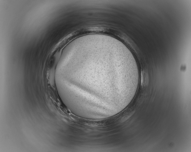 X0000113010723200909171429