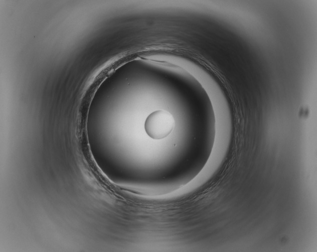 X0000113010724200909171429