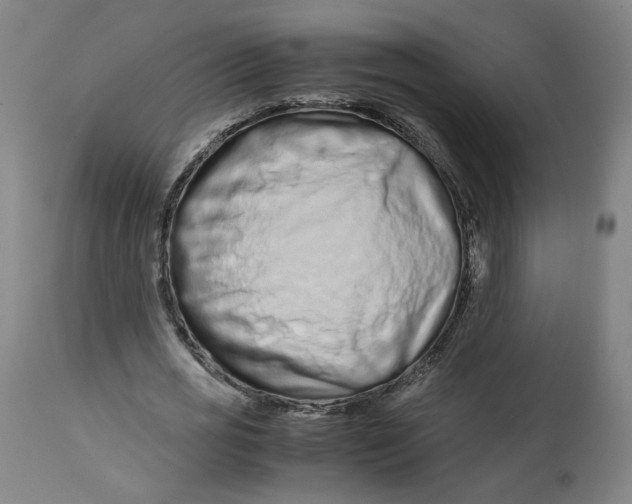 X0000113010725200909171429