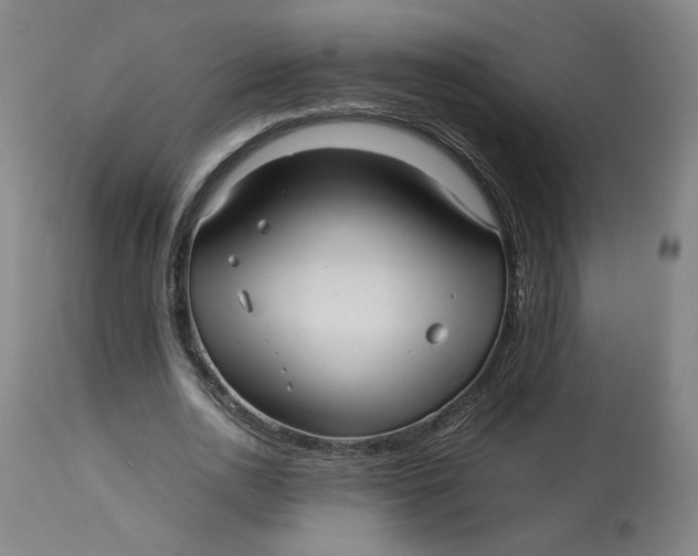 X0000113010726200909171429