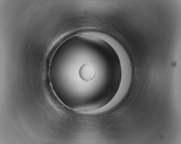 X0000113010728200909171429