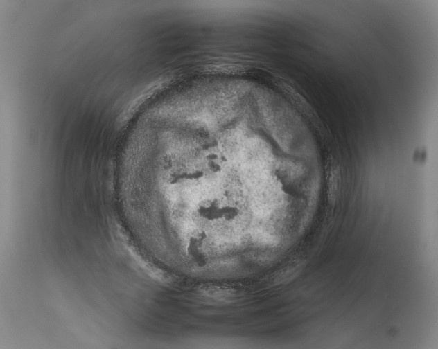 X0000113010729200909171429