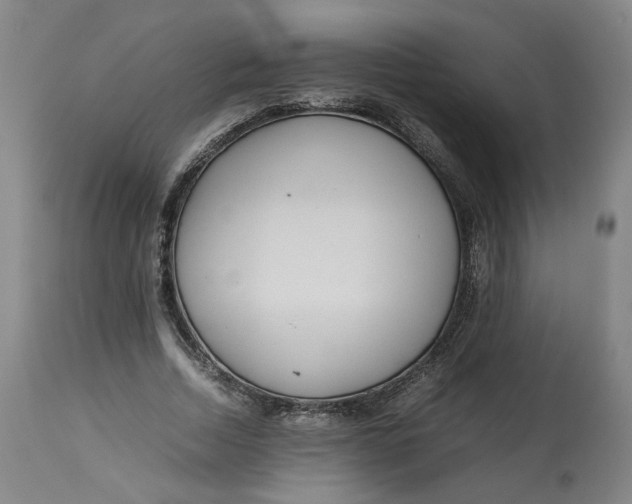 X0000113010730200909171429