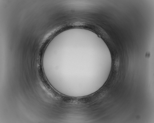 X0000113010732200909171429