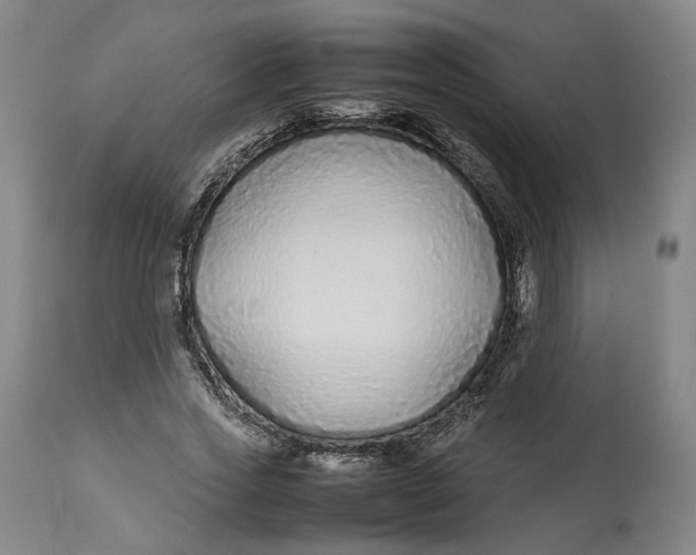 X0000113010733200909171429