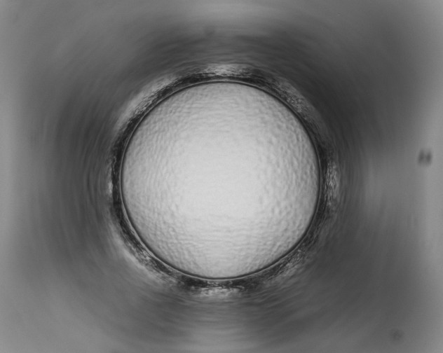 X0000113010734200909171429