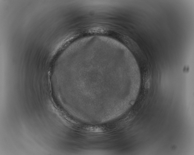 X0000113010735200909171429