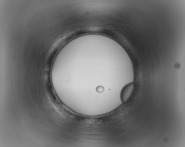 X0000113010736200909171429