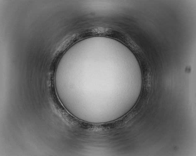 X0000113010738200909171429