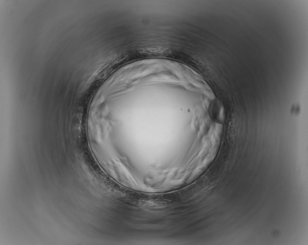 X0000113010739200909171429