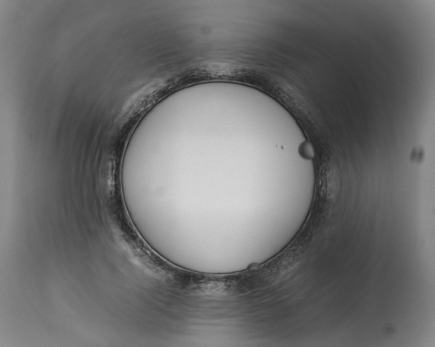 X0000113010740200909171429