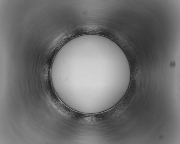 X0000113010744200909171429