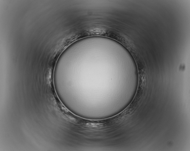 X0000113010745200909171429