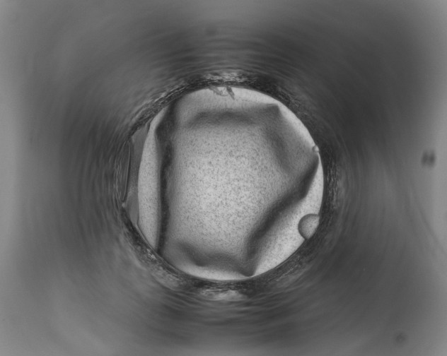 X0000113010747200909171429