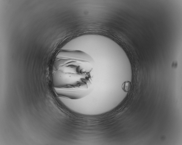 X0000113010748200909171429