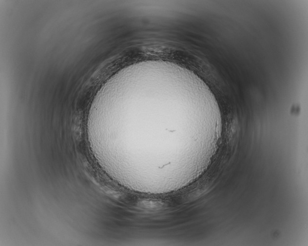 X0000113010749200909171429