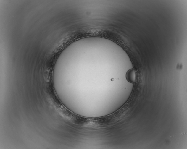 X0000113010750200909171429