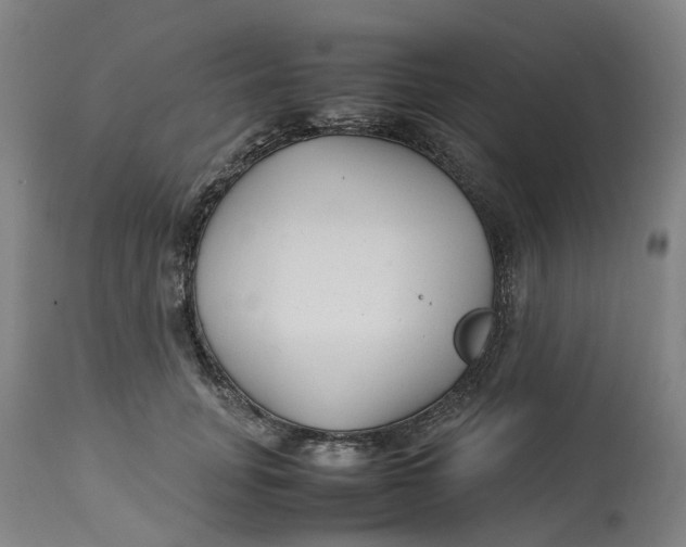 X0000113010751200909171429