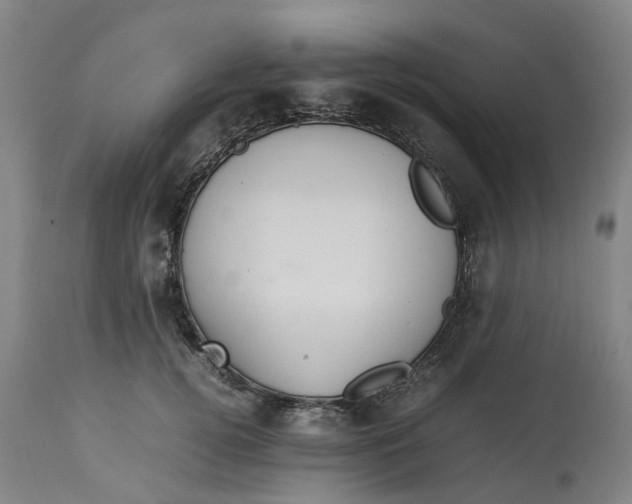 X0000113010752200909171429