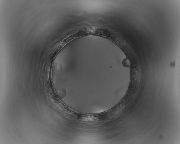 X0000113010754200909171429