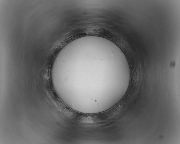 X0000113010755200909171429