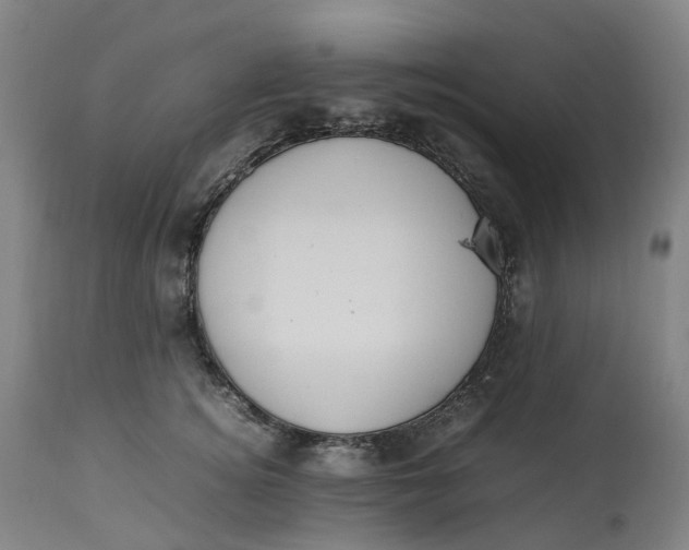 X0000113010756200909171429