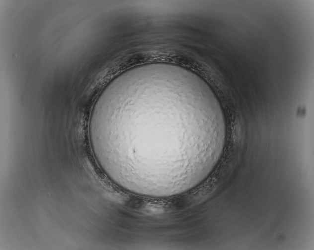 X0000113010757200909171429