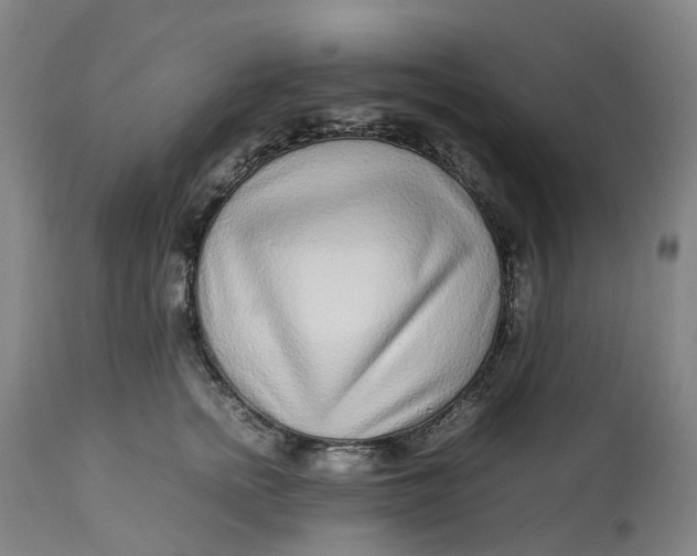 X0000113010758200909171429