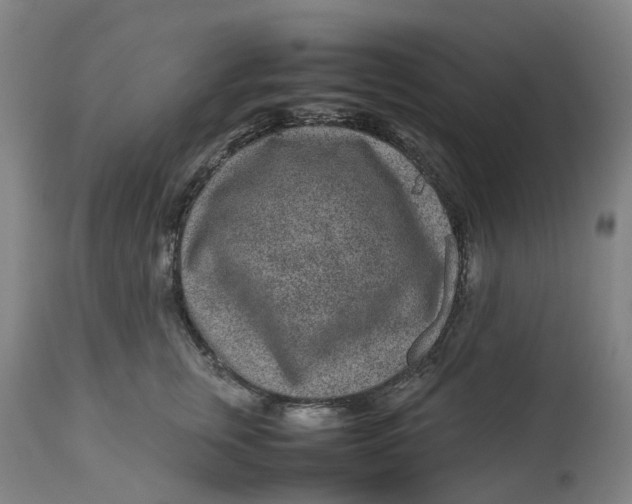 X0000113010759200909171429