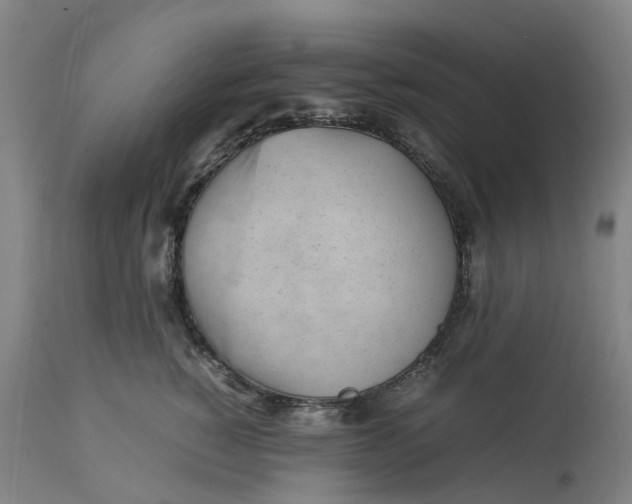 X0000113010760200909171429