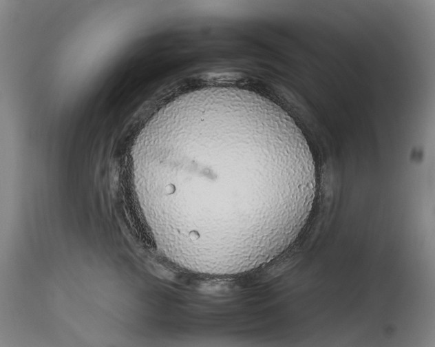 X0000113010761200909171429