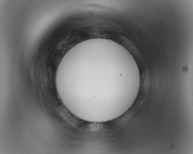 X0000113010762200909171429