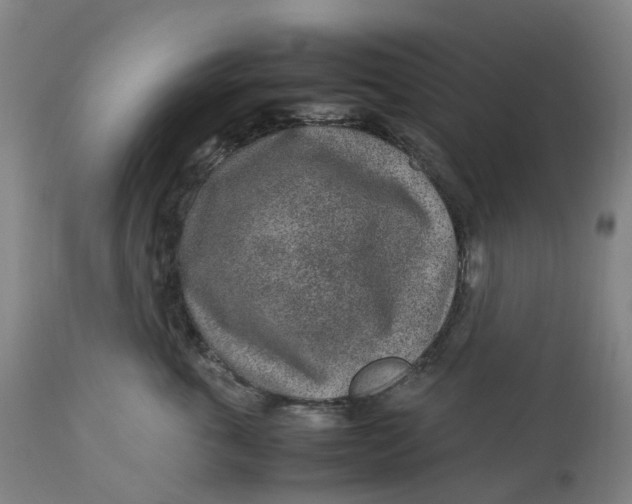 X0000113010763200909171429