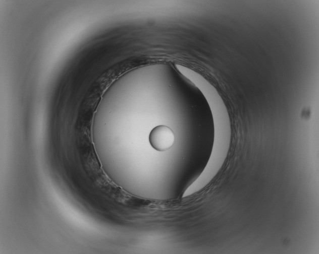 X0000113010764200909171429